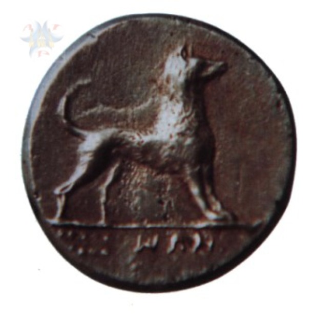 Museo di Adrano: Moneta raffigurante cane Cirneco